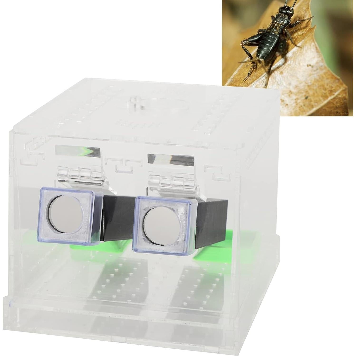 Caja de Grillos Acrílica Shanrya con Tapa Removible (L)