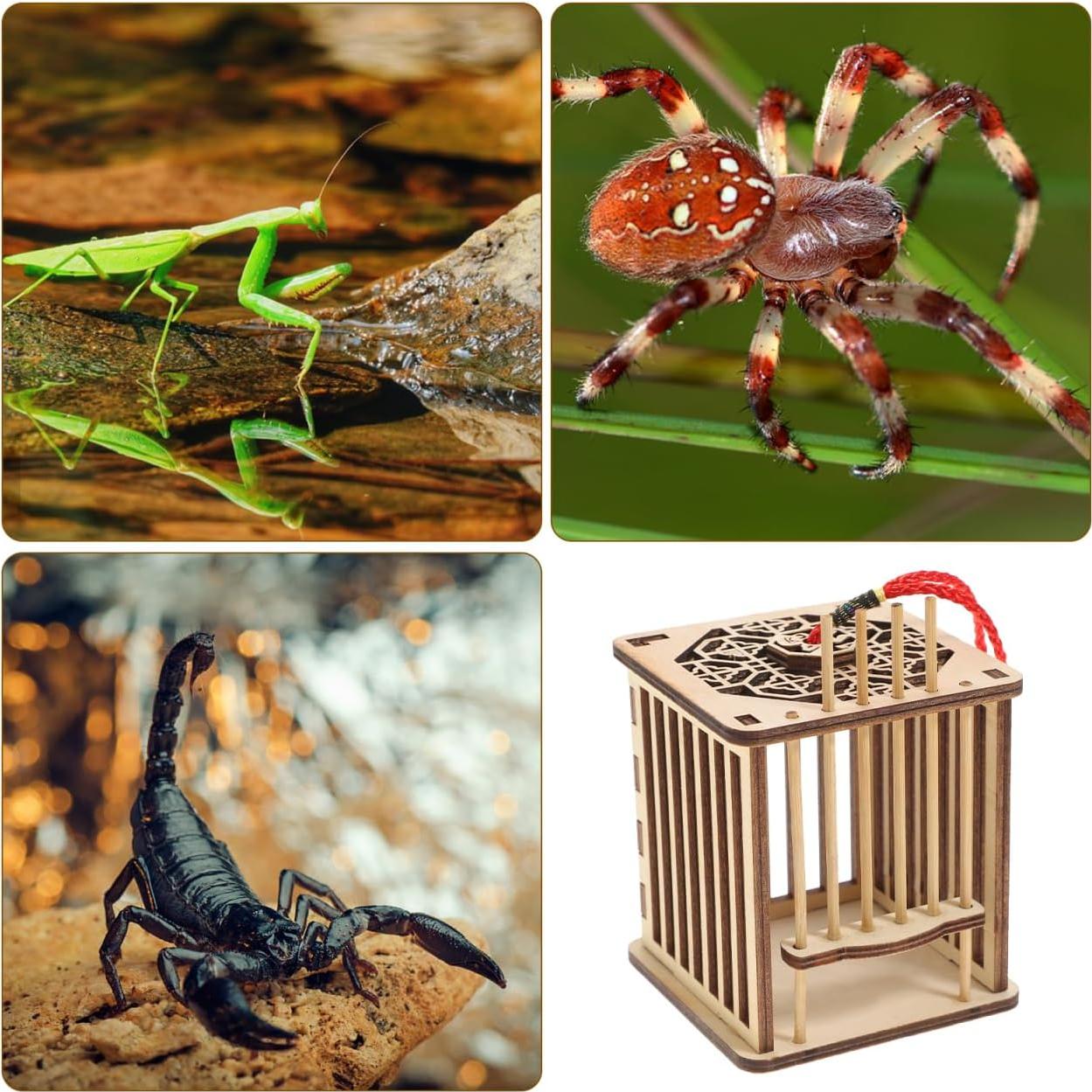 Jaula de Cricket Balacoo para Mascotas 7.29x7.29cm