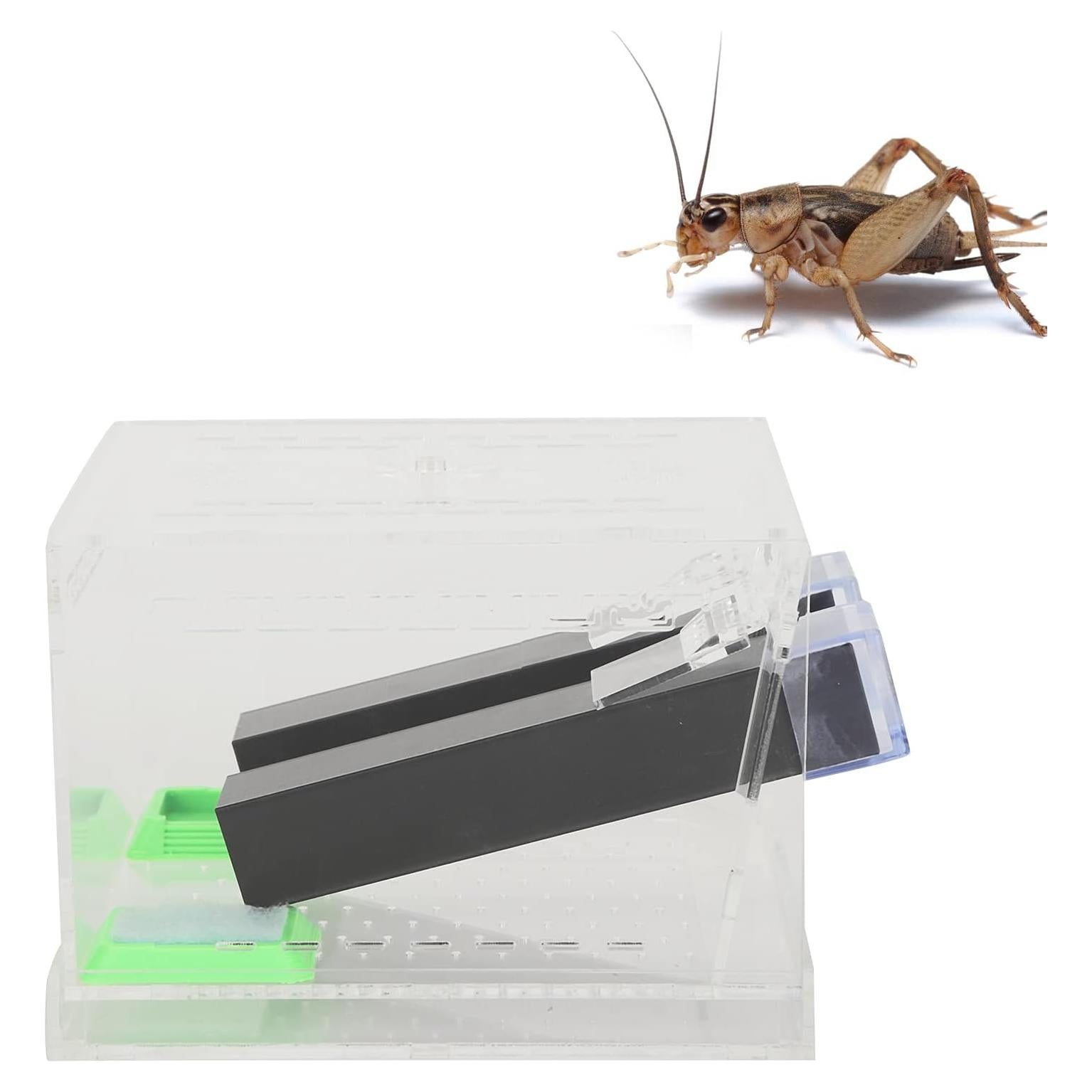 Caja de Alimentación para Grilllos Bizofft con Tubos Seguros