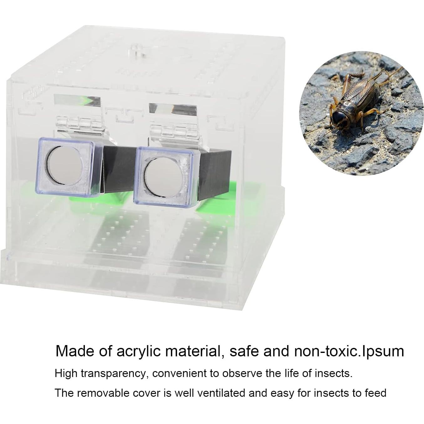 Caja de Alimentación para Grilllos Bizofft con Tubos Seguros