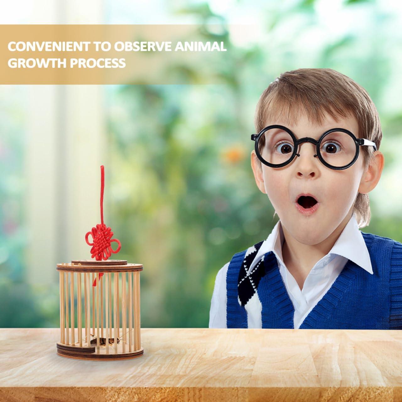 Caja de Grillos Balacoo Square - Jaula de Madera 22.1x20.3cm