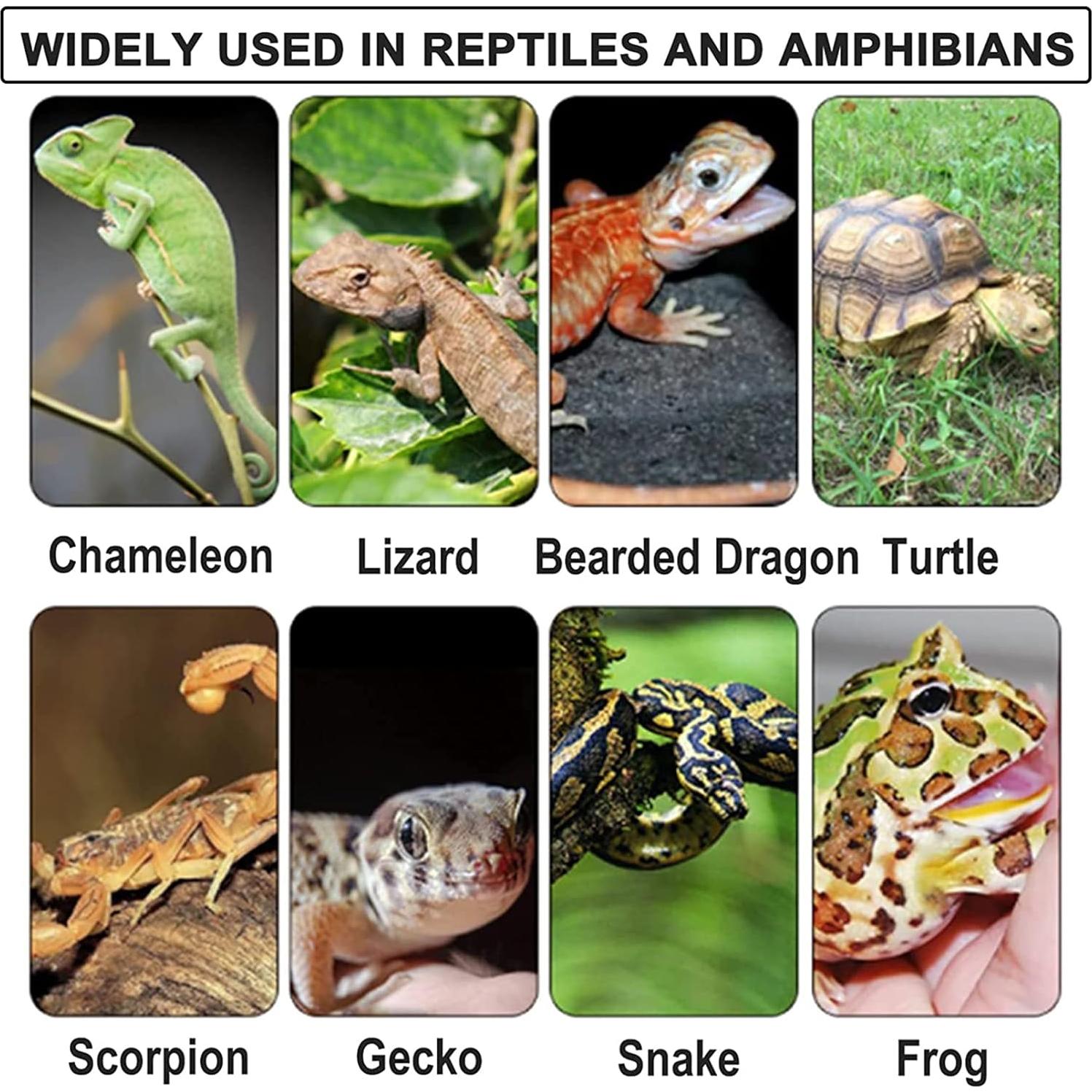 Almohadillas Térmicas para Reptiles TFWADMX 20W - Paquete de 2