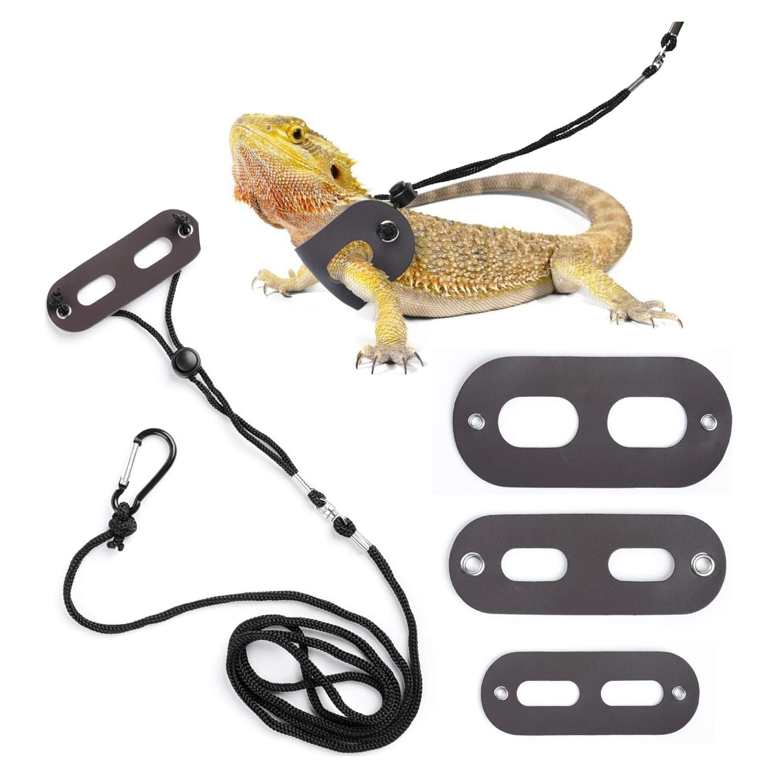 Arnés y Correa Ajustable para Dragón Barbudo - 3 Tamaños S, M, L