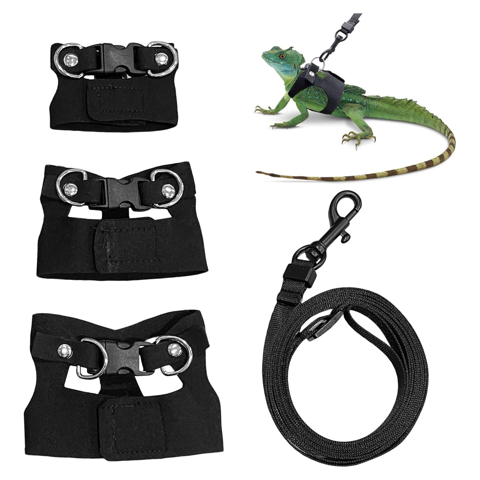 Conjunto Arnés y Correa Ajustable para Dragón Barbudo - Negro