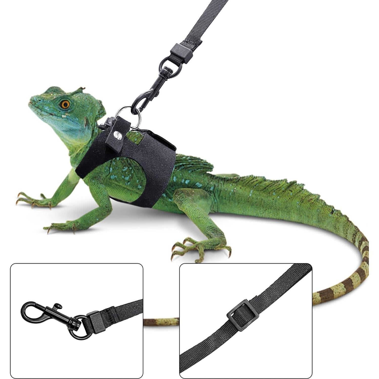 Conjunto Arnés y Correa Ajustable para Dragón Barbudo - Negro
