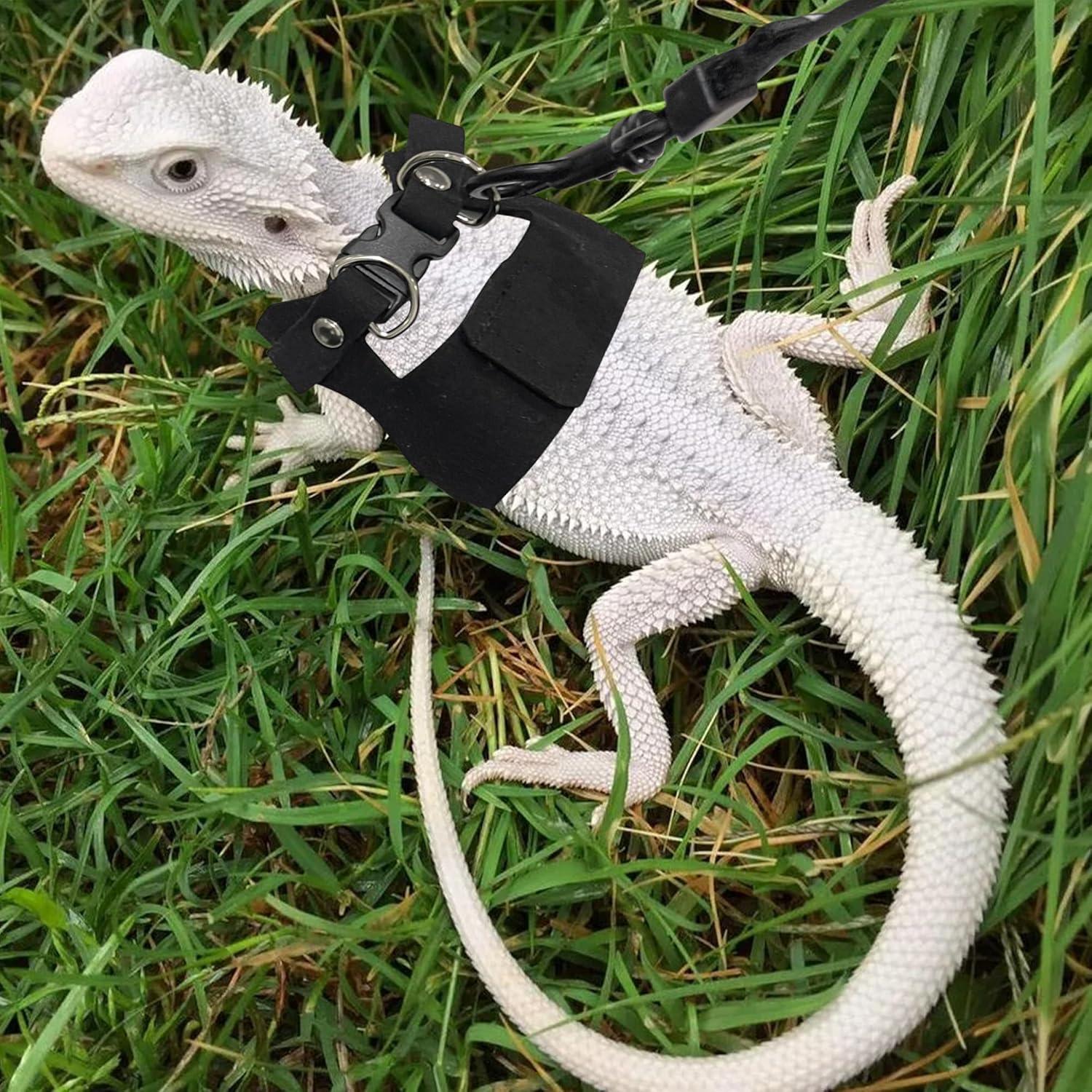 Conjunto Arnés y Correa Ajustable para Dragón Barbudo - Negro