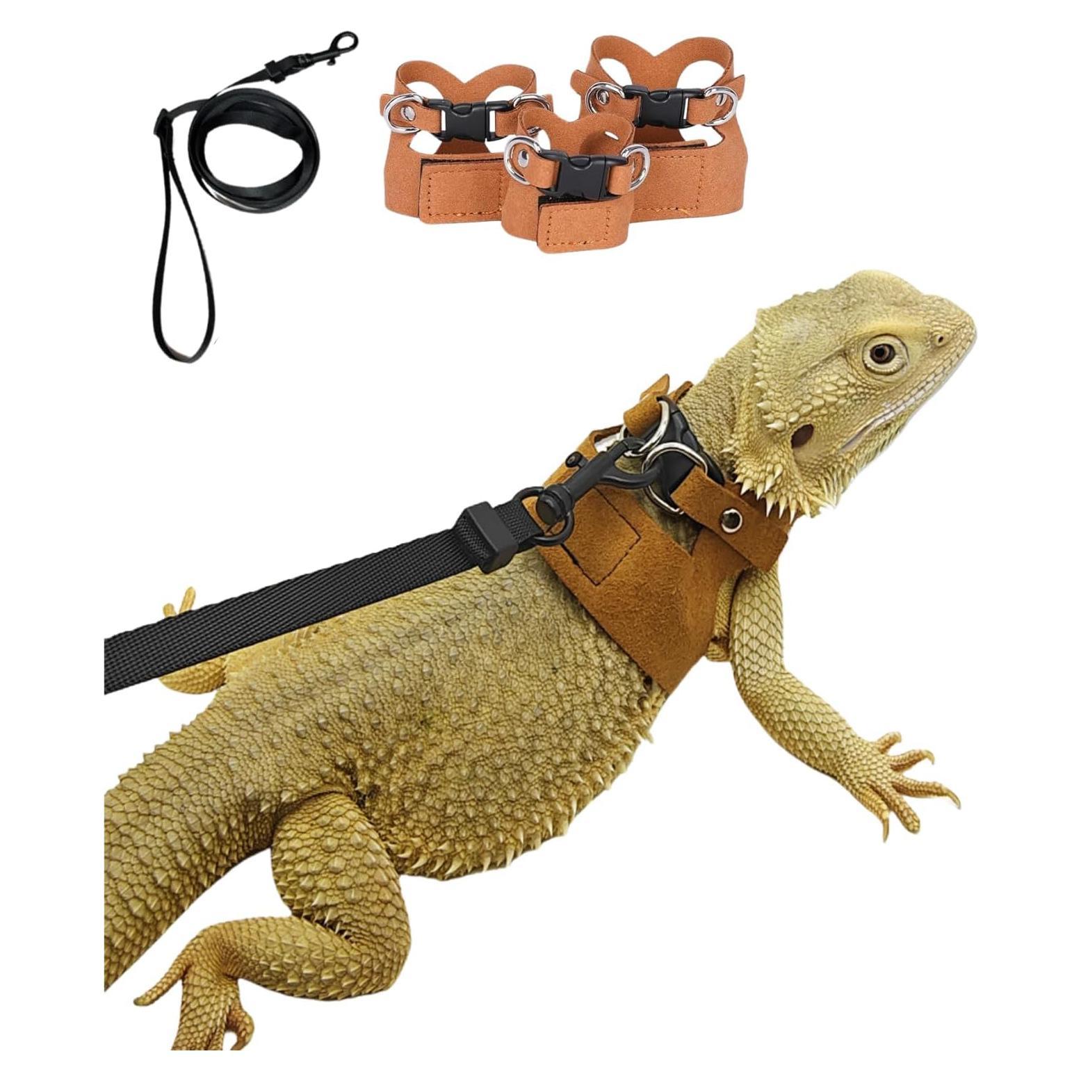 Juego de Arnés y Correa SEZDEKI para Dragón Barbudo - 3 Tamaños Ajustables
