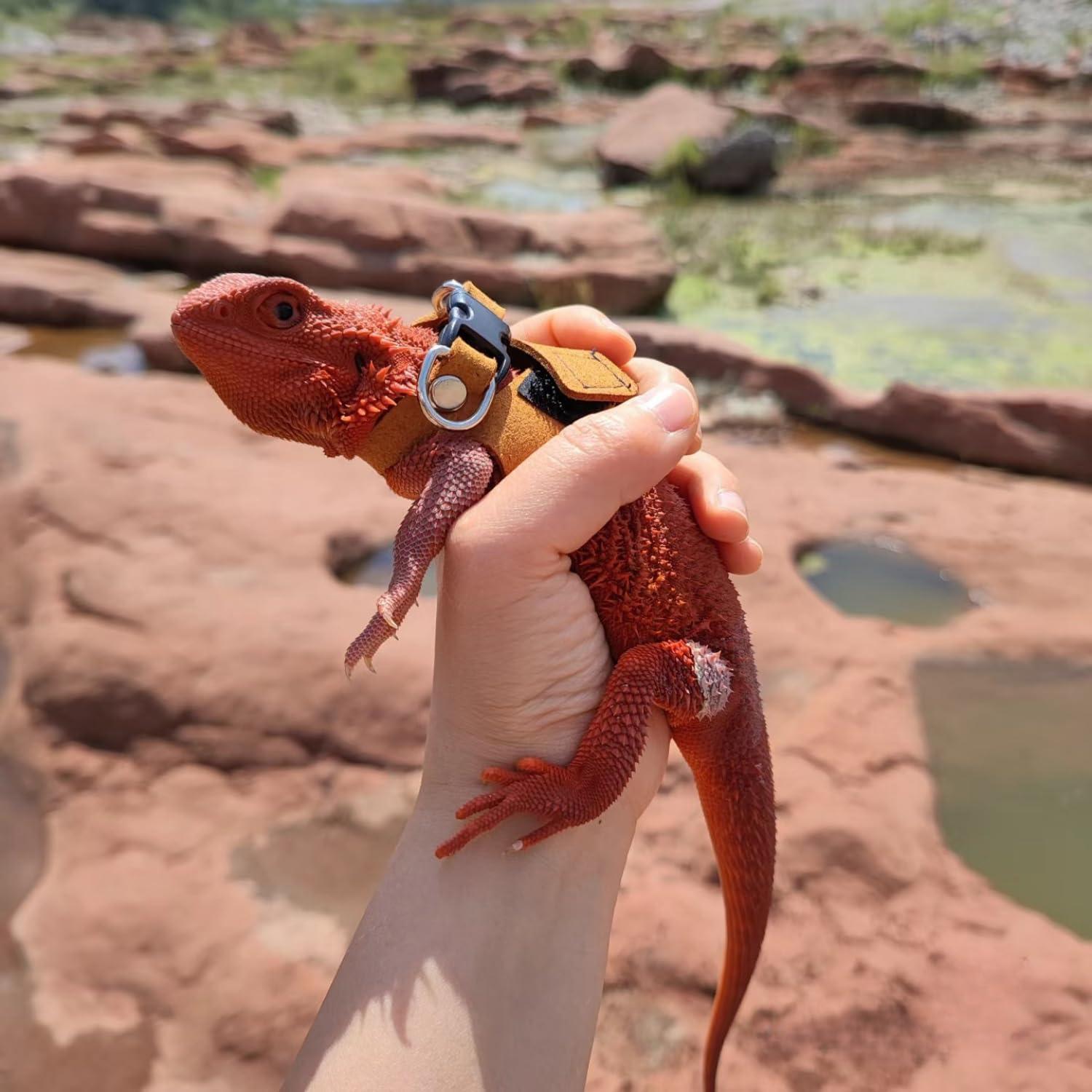 Juego de Arnés y Correa SEZDEKI para Dragón Barbudo - 3 Tamaños Ajustables