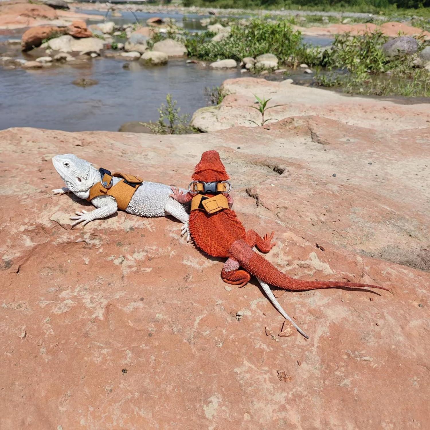 Juego de Arnés y Correa SEZDEKI para Dragón Barbudo - 3 Tamaños Ajustables