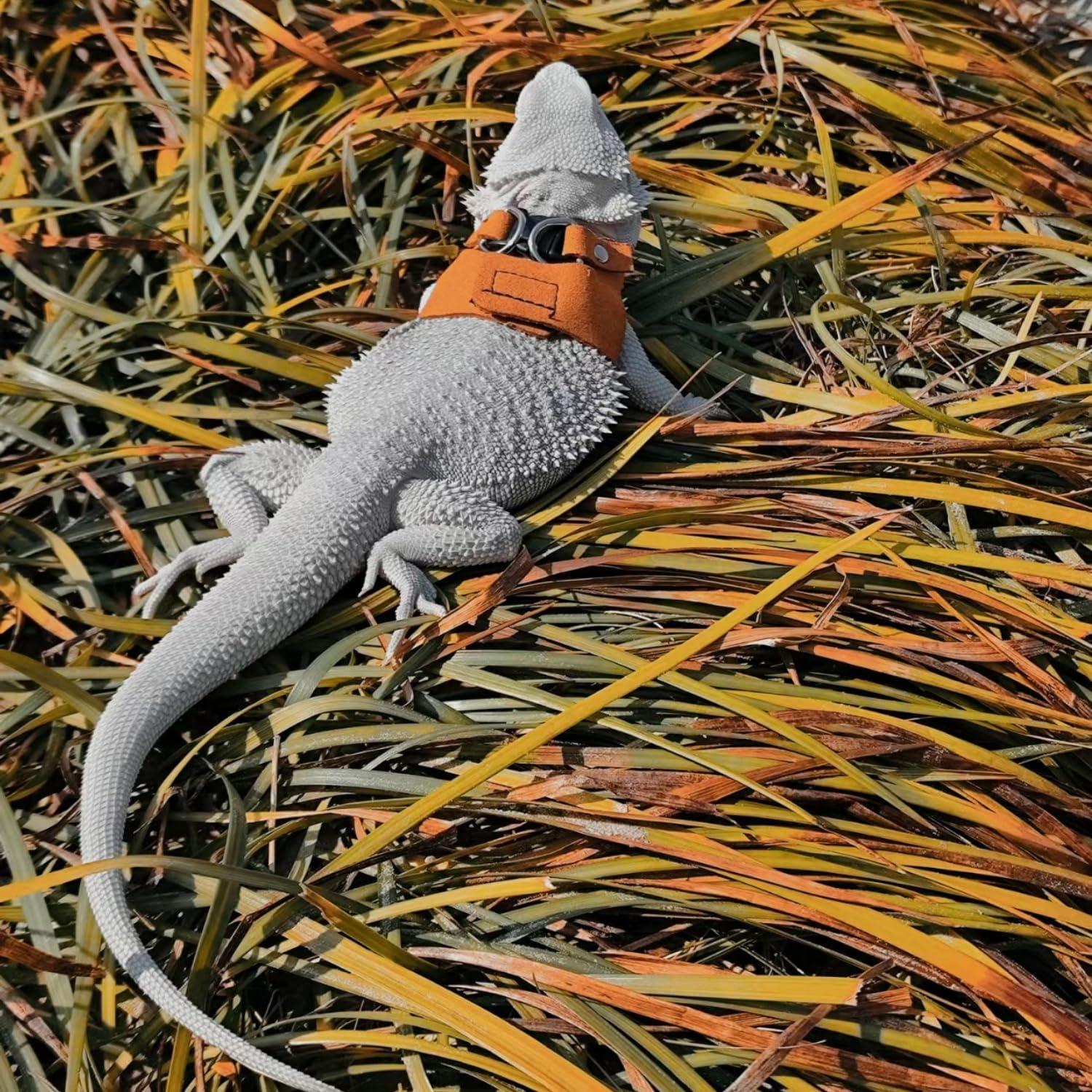 Juego de Arnés y Correa SEZDEKI para Dragón Barbudo - 3 Tamaños Ajustables