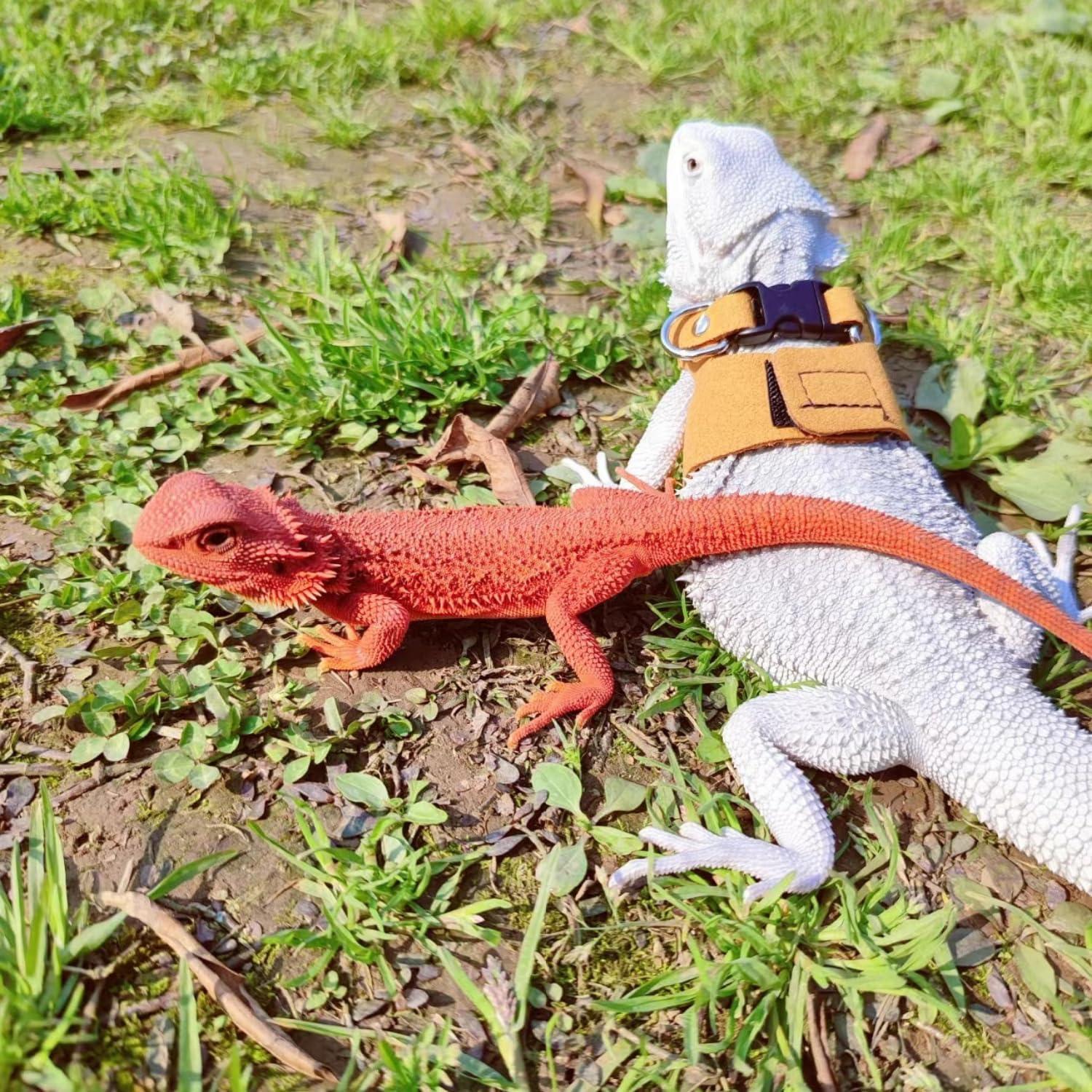 Juego de Arnés y Correa SEZDEKI para Dragón Barbudo - 3 Tamaños Ajustables