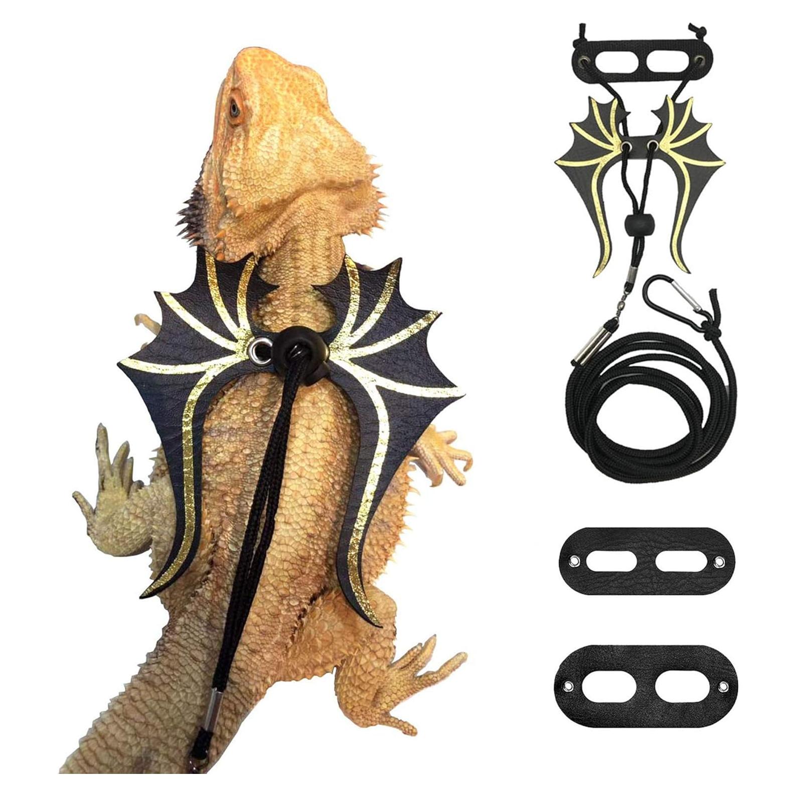 Arnés y Correa para Iguanas ADOGGYGO - Paquete 3 Tamaños S/M/L