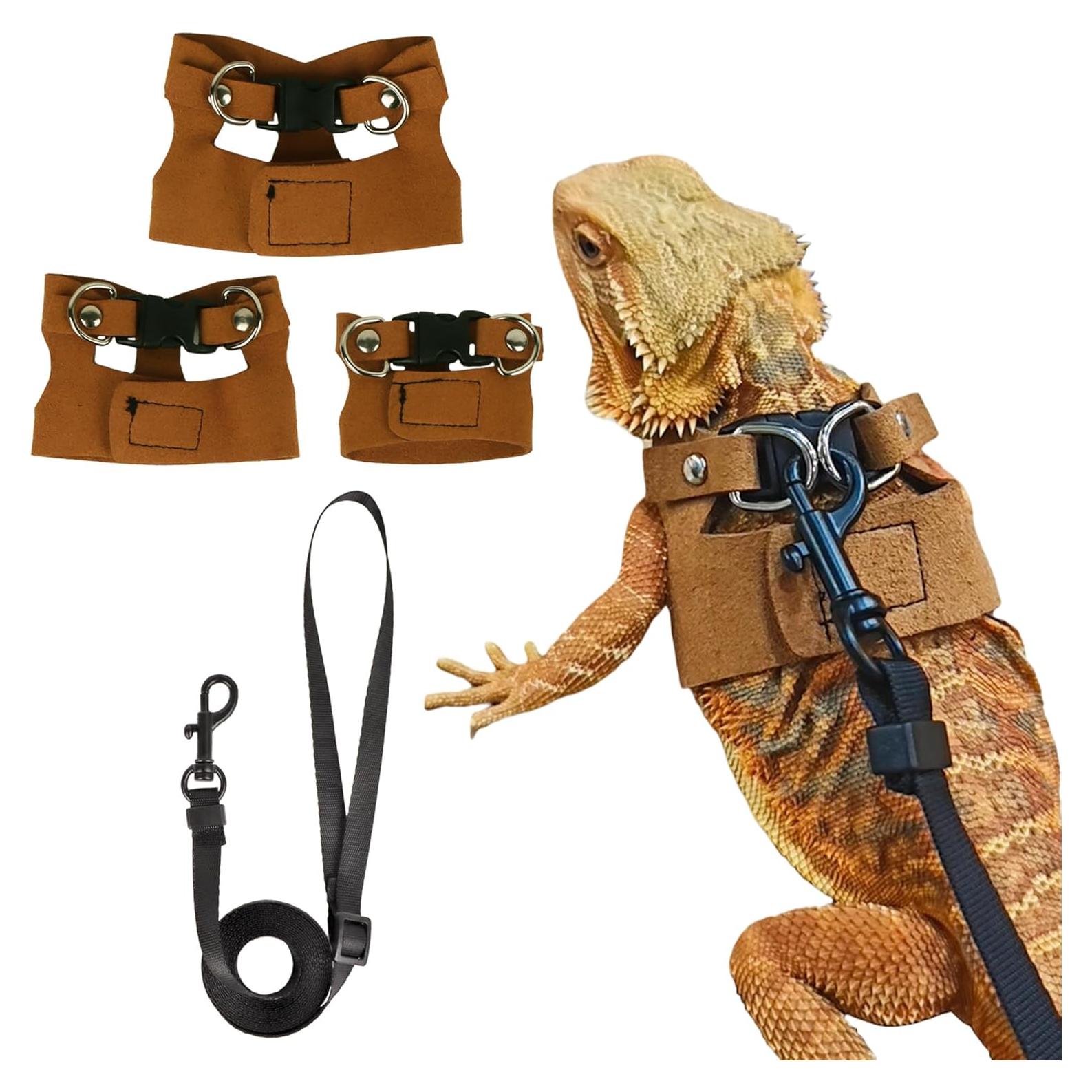 Conjunto Arnés y Correa Dragón Barbudo ADOGGYGO 3 Tamaños