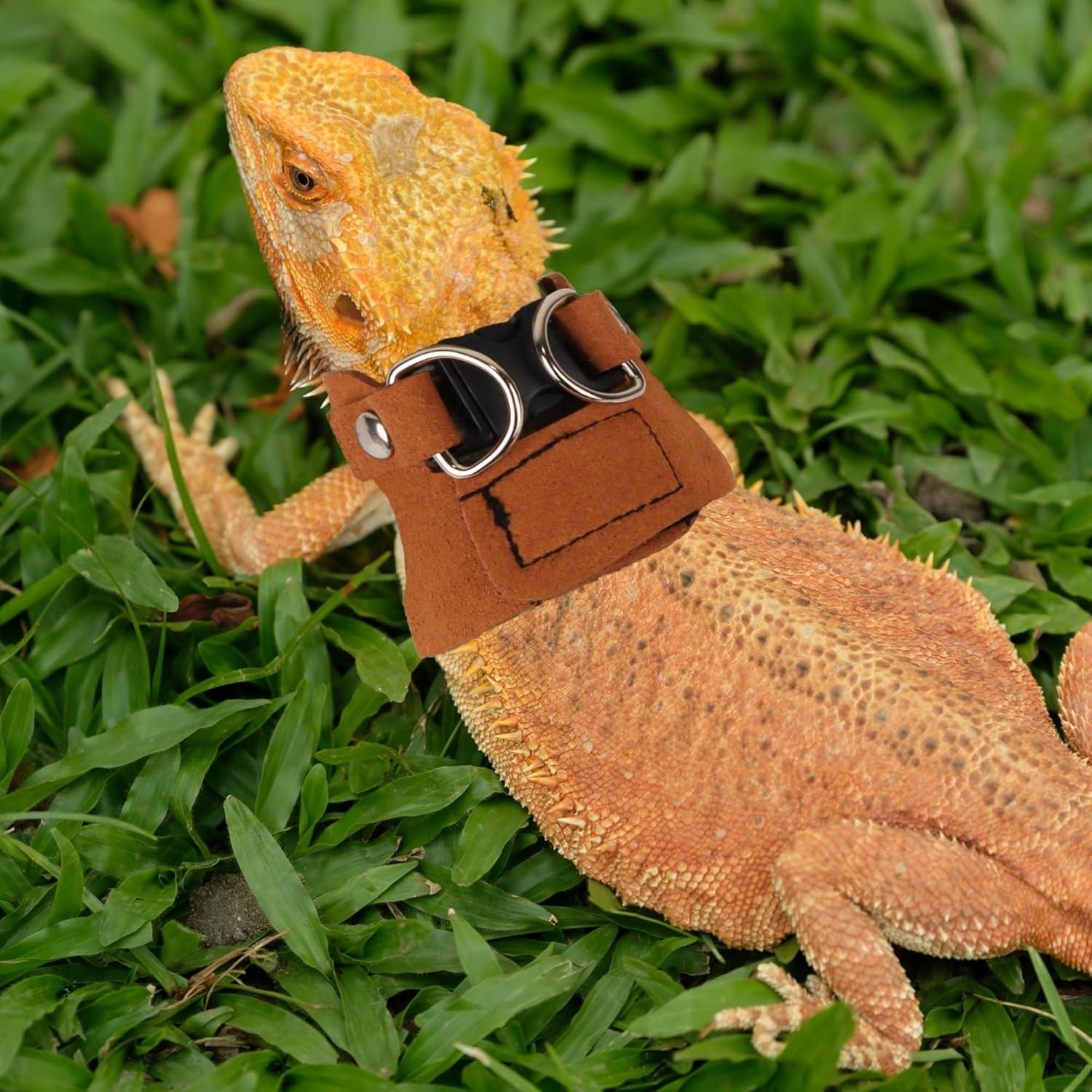 Conjunto Arnés y Correa Dragón Barbudo ADOGGYGO 3 Tamaños