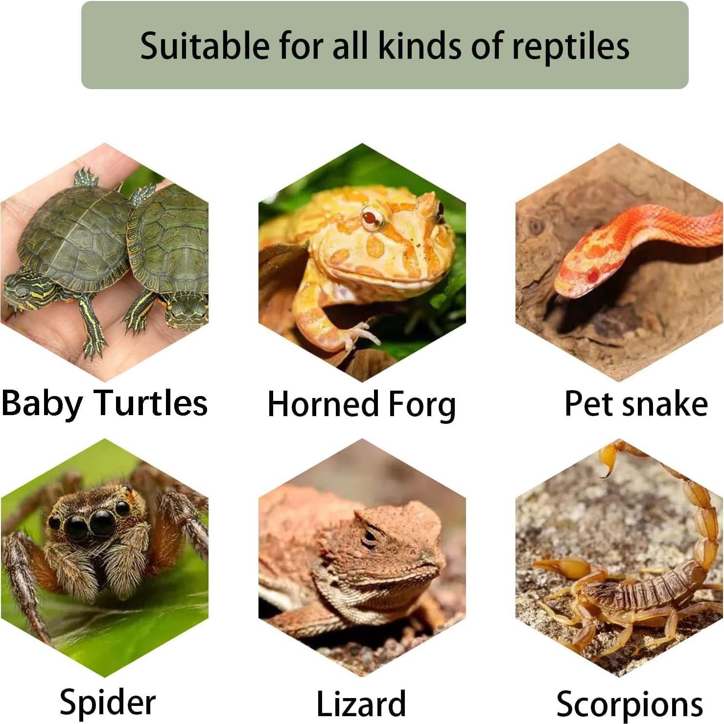 Plataforma de Sol para Tortugas Kathson - Rampa Escalonada Mediana