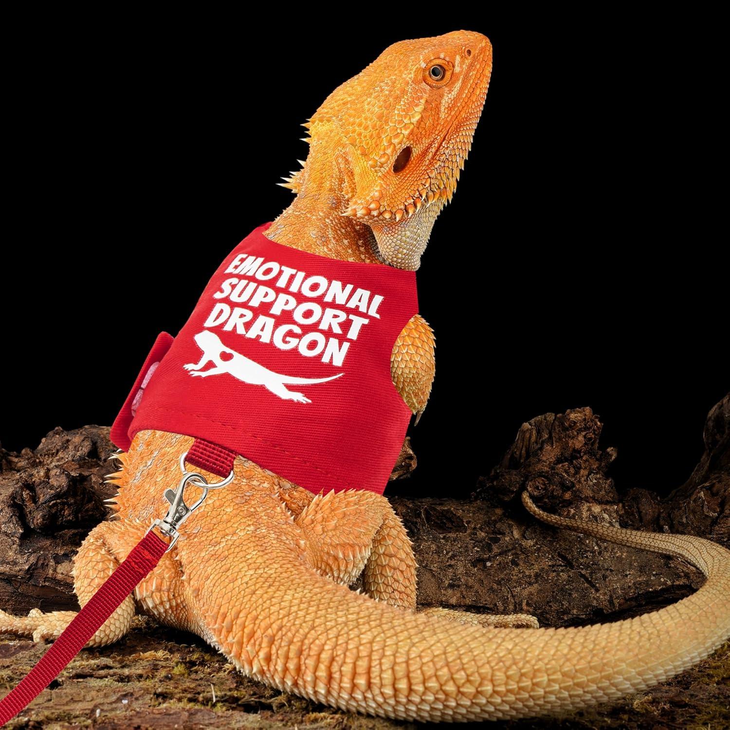 Arnés Ajustable para Dragón Barbudo TUKOAW con Correa 1.5m