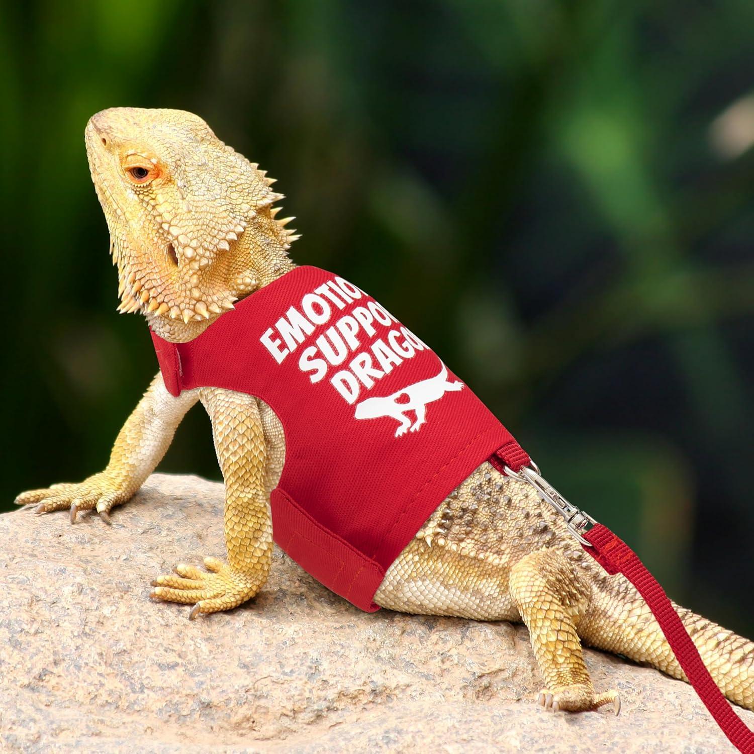 Arnés Ajustable para Dragón Barbudo TUKOAW con Correa 1.5m