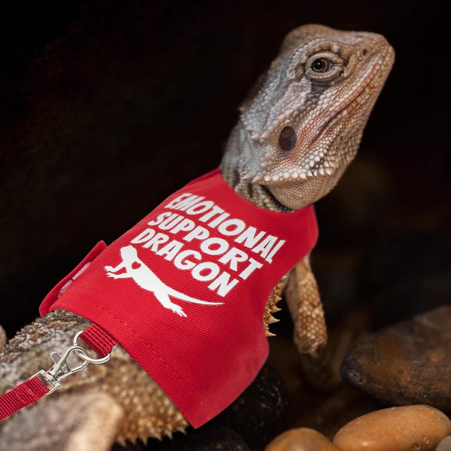 Arnés Ajustable para Dragón Barbudo TUKOAW con Correa 1.5m