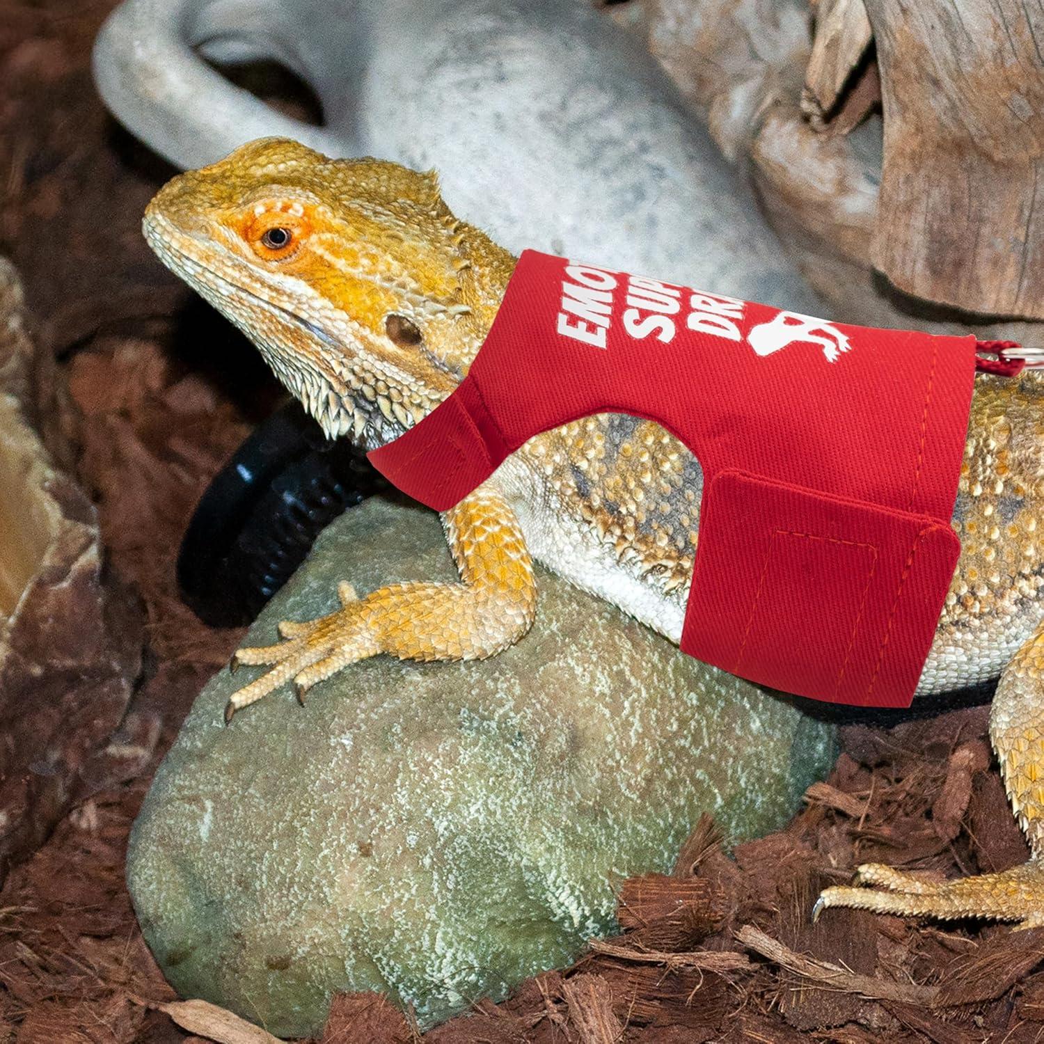 Arnés Ajustable para Dragón Barbudo TUKOAW con Correa 1.5m