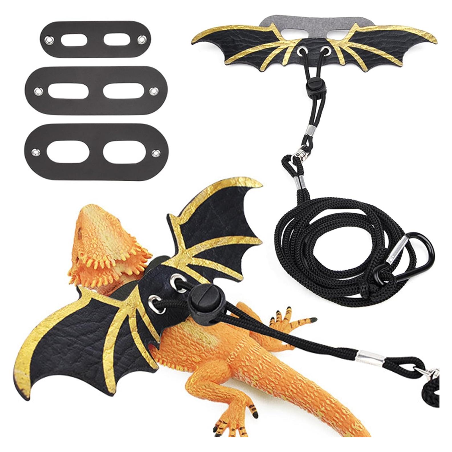 Correa y Arnés Ajustable para Dragón Barbudo ZukoCert Negro