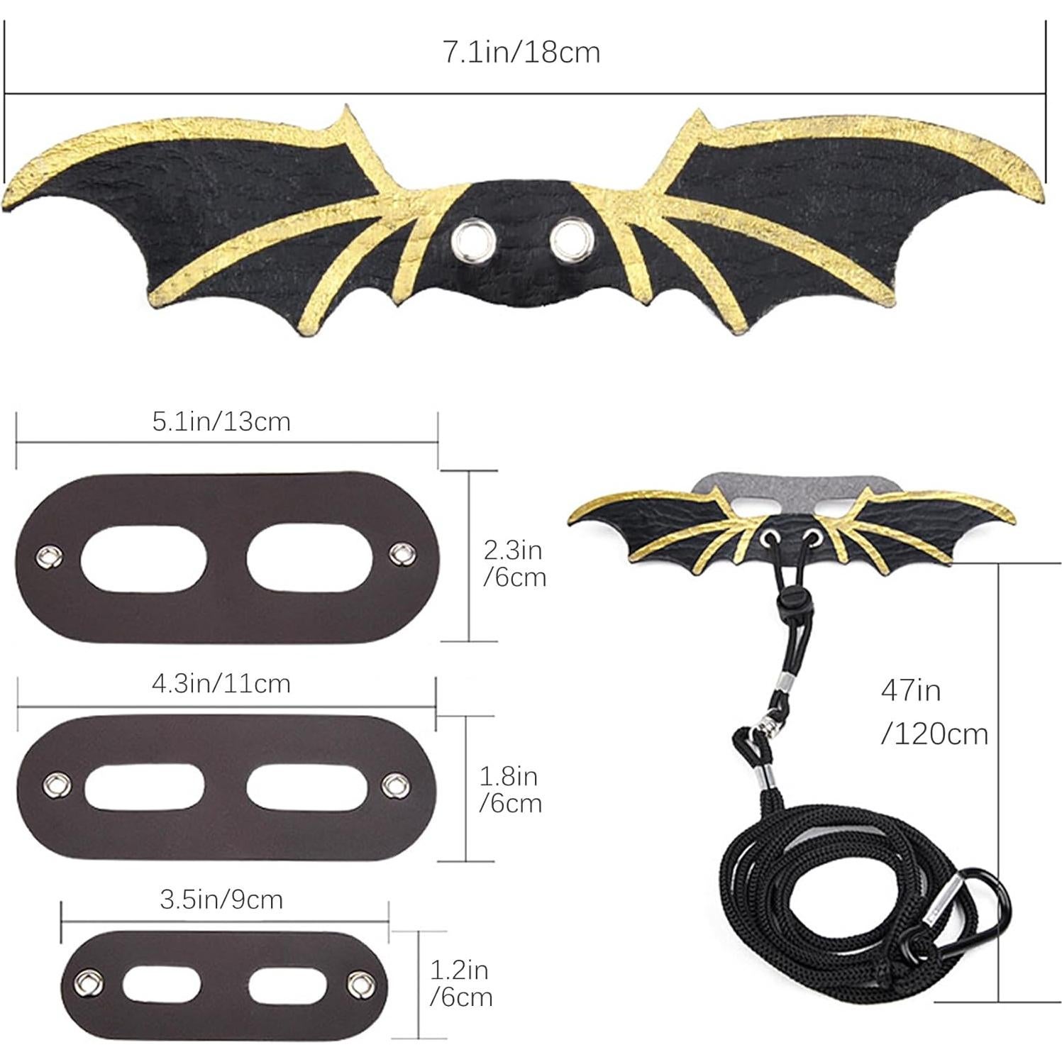 Correa y Arnés Ajustable para Dragón Barbudo ZukoCert Negro