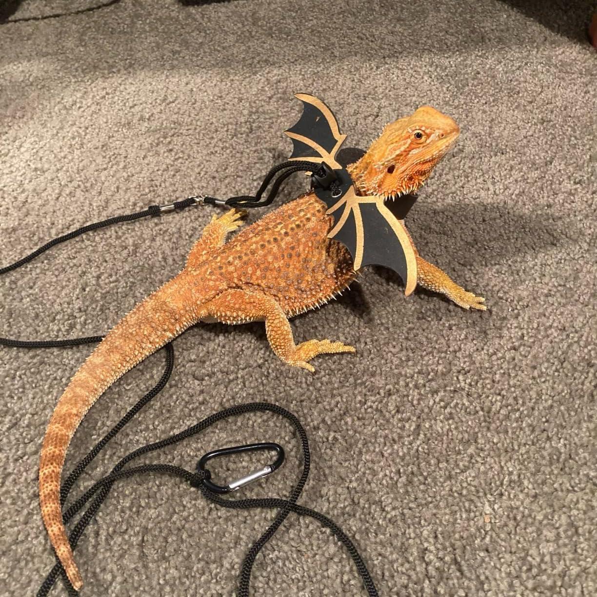 Correa y Arnés Ajustable para Dragón Barbudo ZukoCert Negro