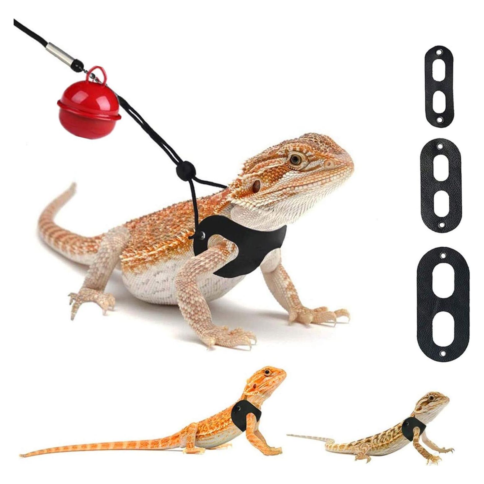 Arnés y Correa Ajustable para Dragón Barbudo Lyeiaa - 3 Paquetes