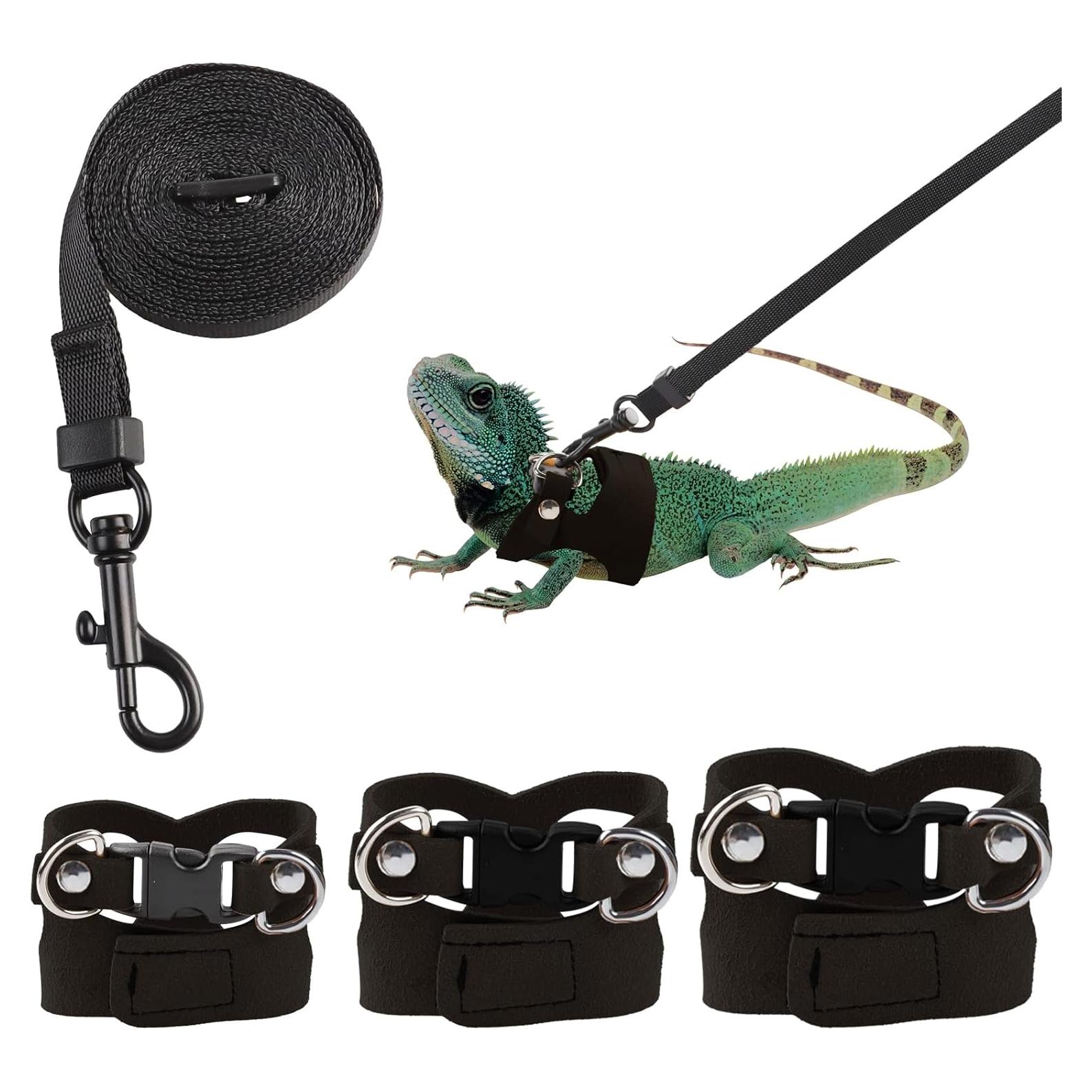 Conjunto de Arnés y Correa Ajustable Maxqzin para Dragón Barbudo - 3 Tamaños