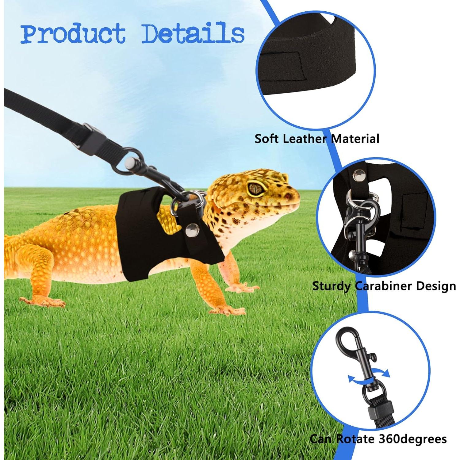 Conjunto de Arnés y Correa Ajustable Maxqzin para Dragón Barbudo - 3 Tamaños