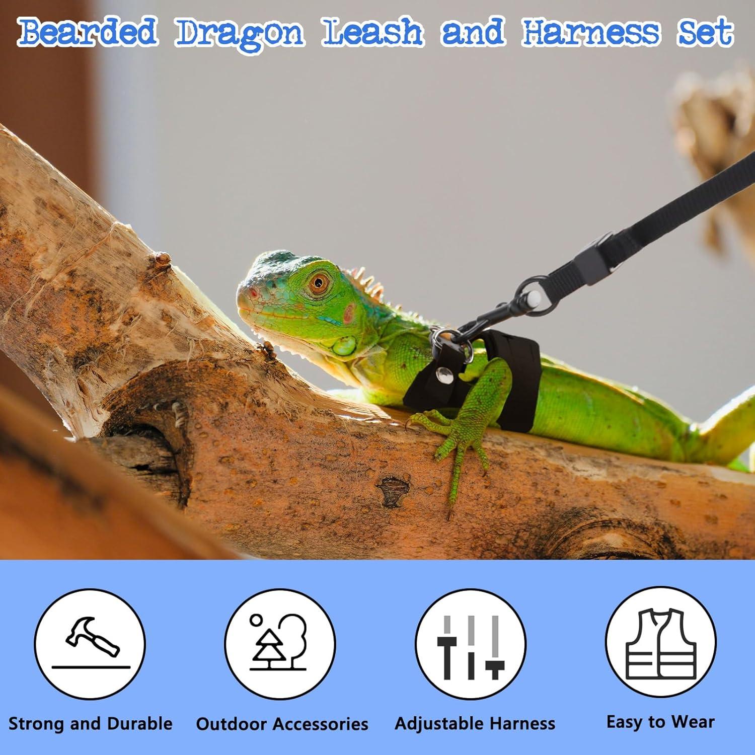 Conjunto de Arnés y Correa Ajustable Maxqzin para Dragón Barbudo - 3 Tamaños