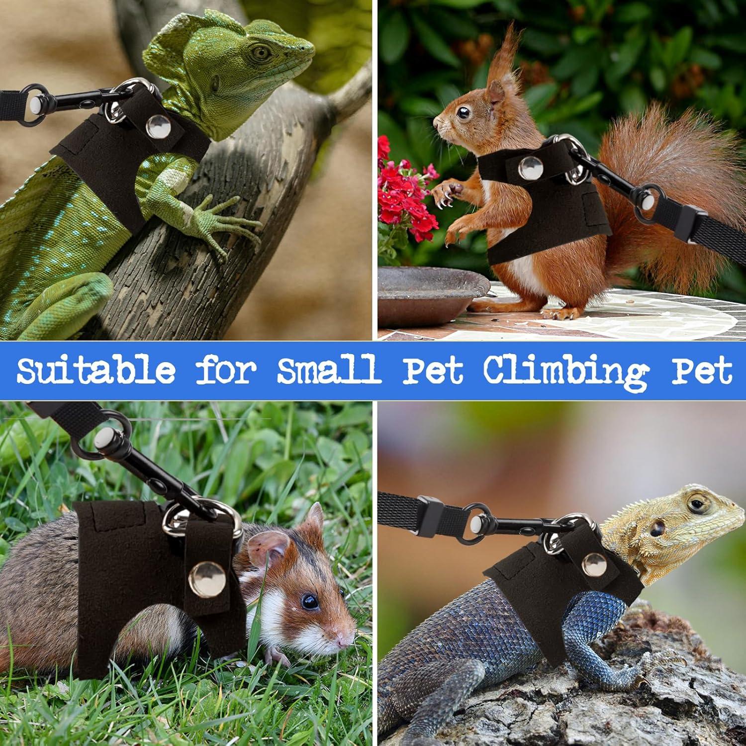 Conjunto de Arnés y Correa Ajustable Maxqzin para Dragón Barbudo - 3 Tamaños