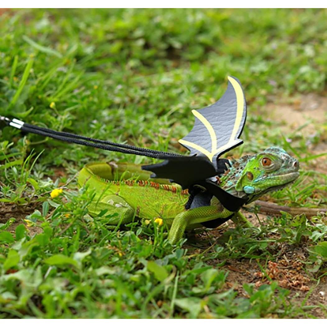 Arnés Ajustable para Lagarto Dragón Barbudo con Alas de Cuero