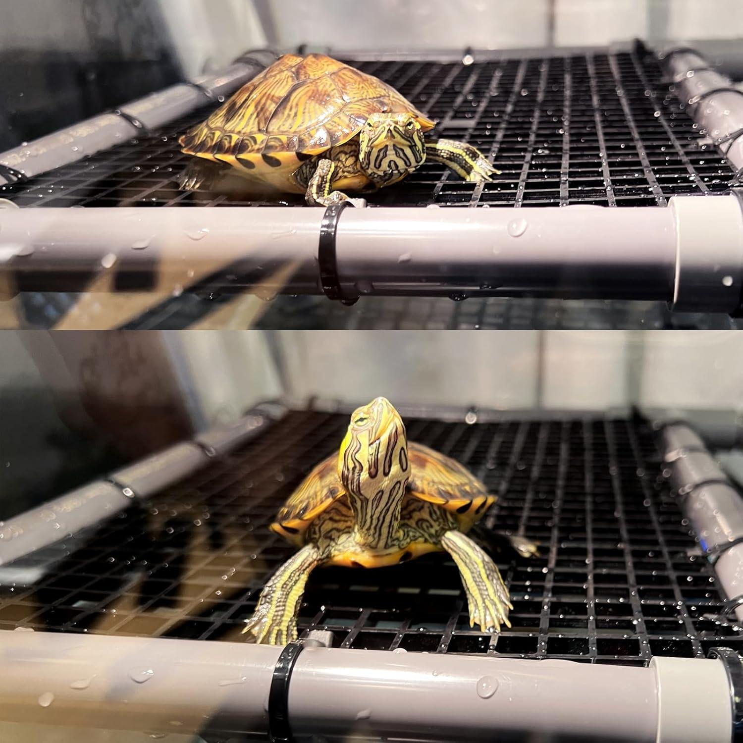 Plataforma Grande para Tomar el Sol Tortugas StellarOcean 10.8"