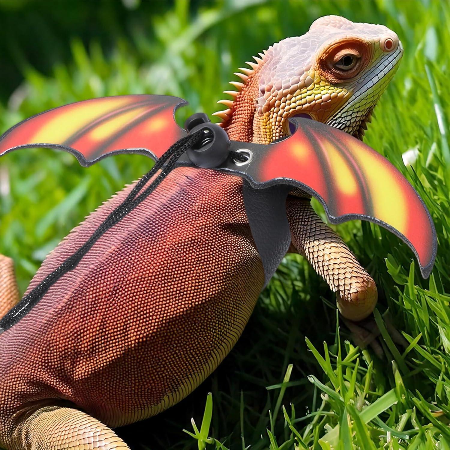 Arnés y Correa Ajustable para Dragón Barbudo HJZHII - 3 Tamaños