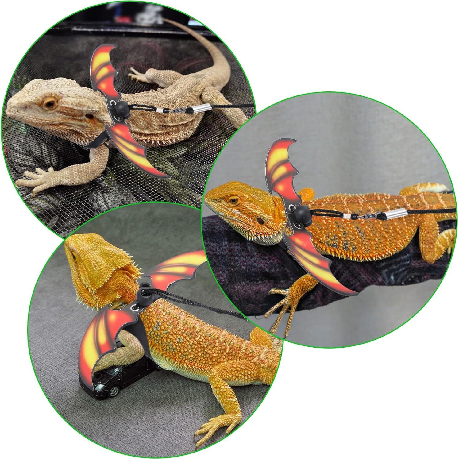 Arnés y Correa Ajustable para Dragón Barbudo HJZHII - 3 Tamaños