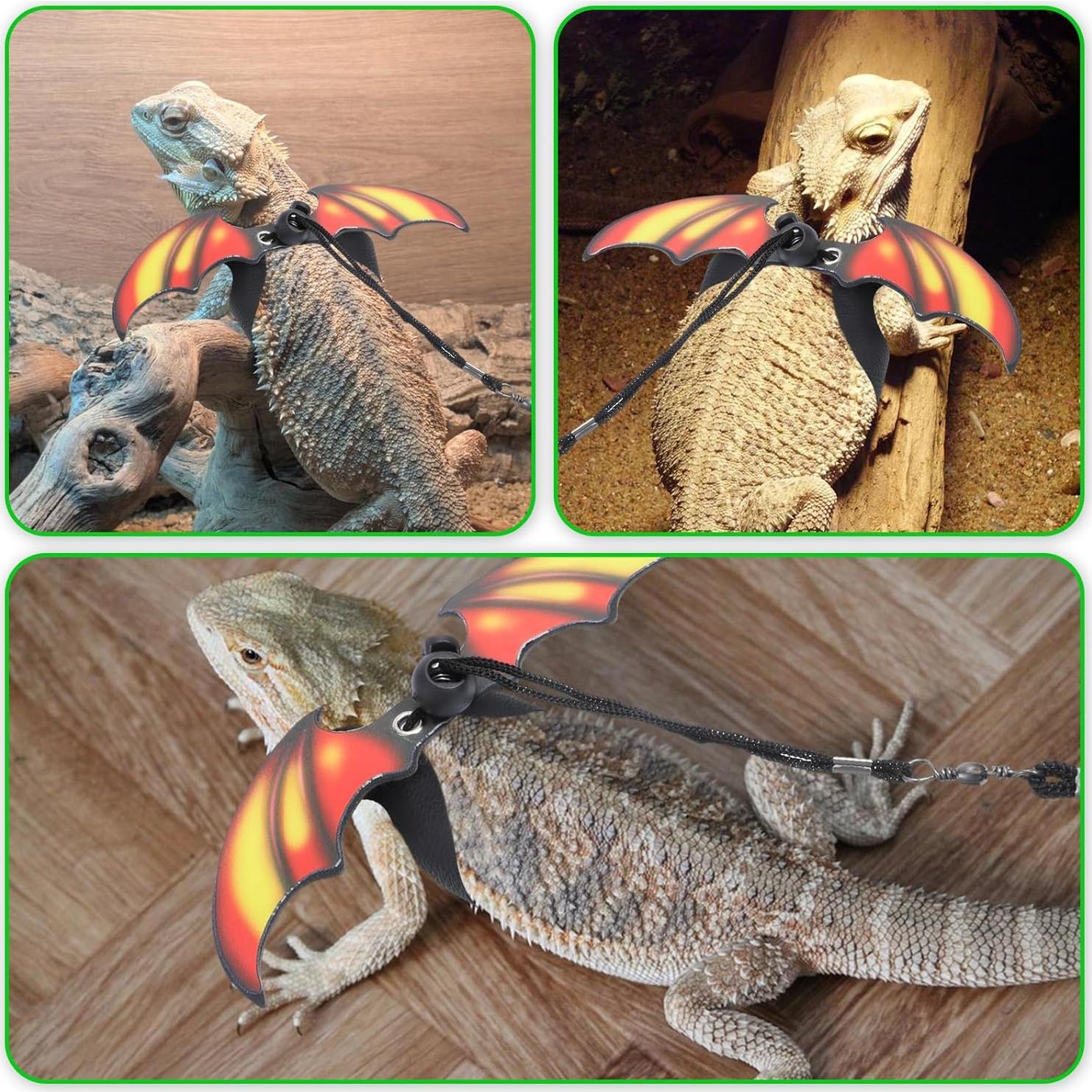 Arnés y Correa Ajustable para Dragón Barbudo HJZHII - 3 Tamaños
