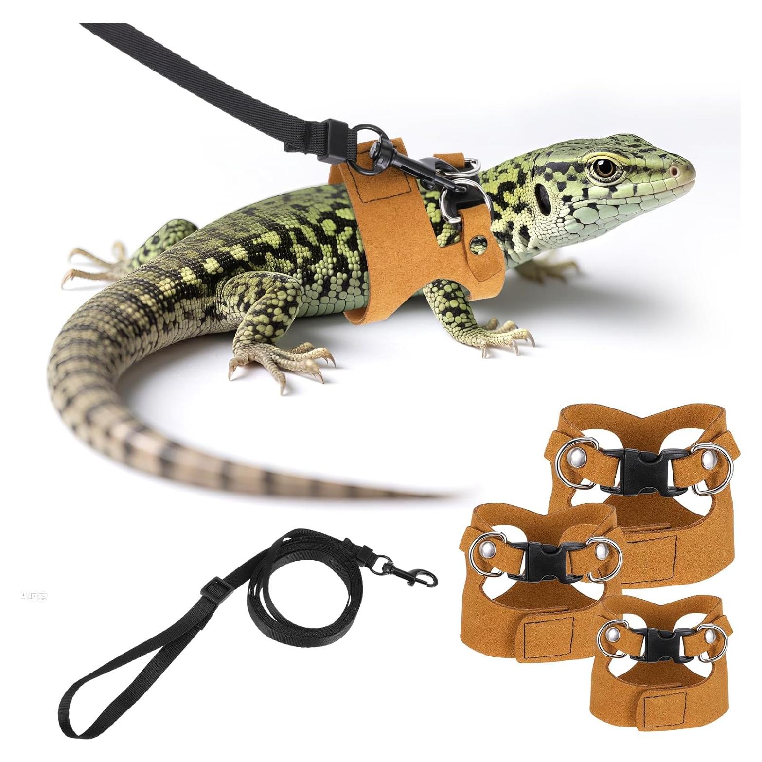 Conjunto de Arnés y Correa para Dragón Barbudo Bewudy - 3 Tamaños