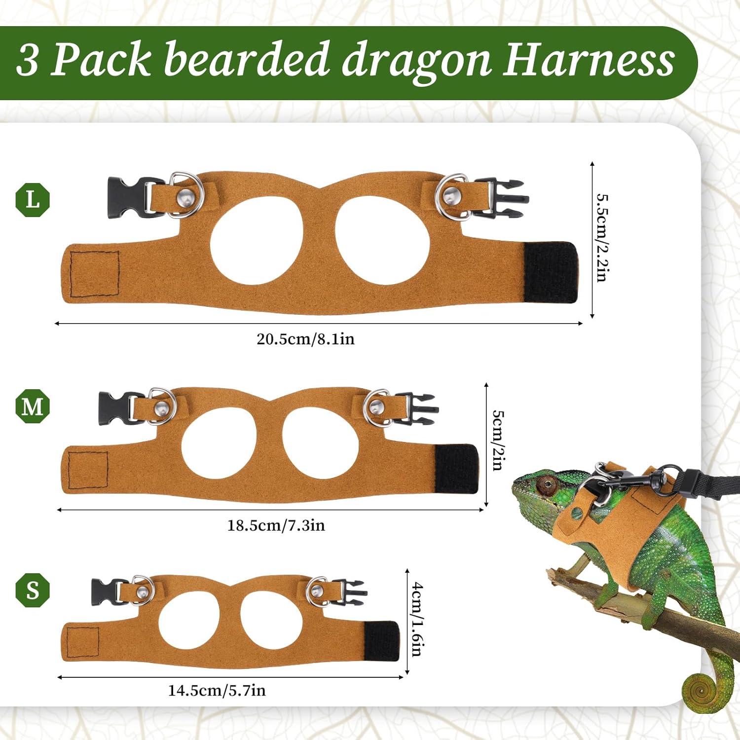 Conjunto de Arnés y Correa para Dragón Barbudo Bewudy - 3 Tamaños