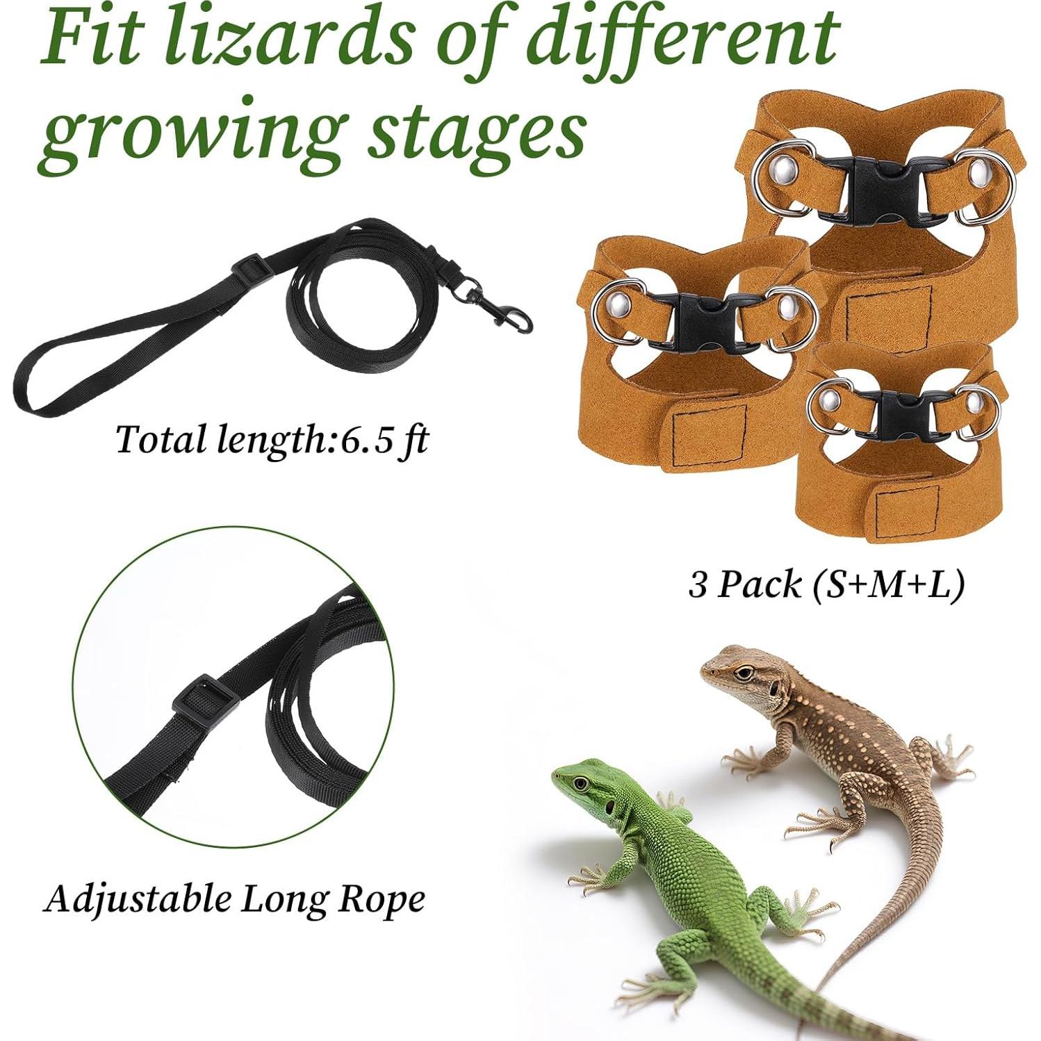 Conjunto de Arnés y Correa para Dragón Barbudo Bewudy - 3 Tamaños