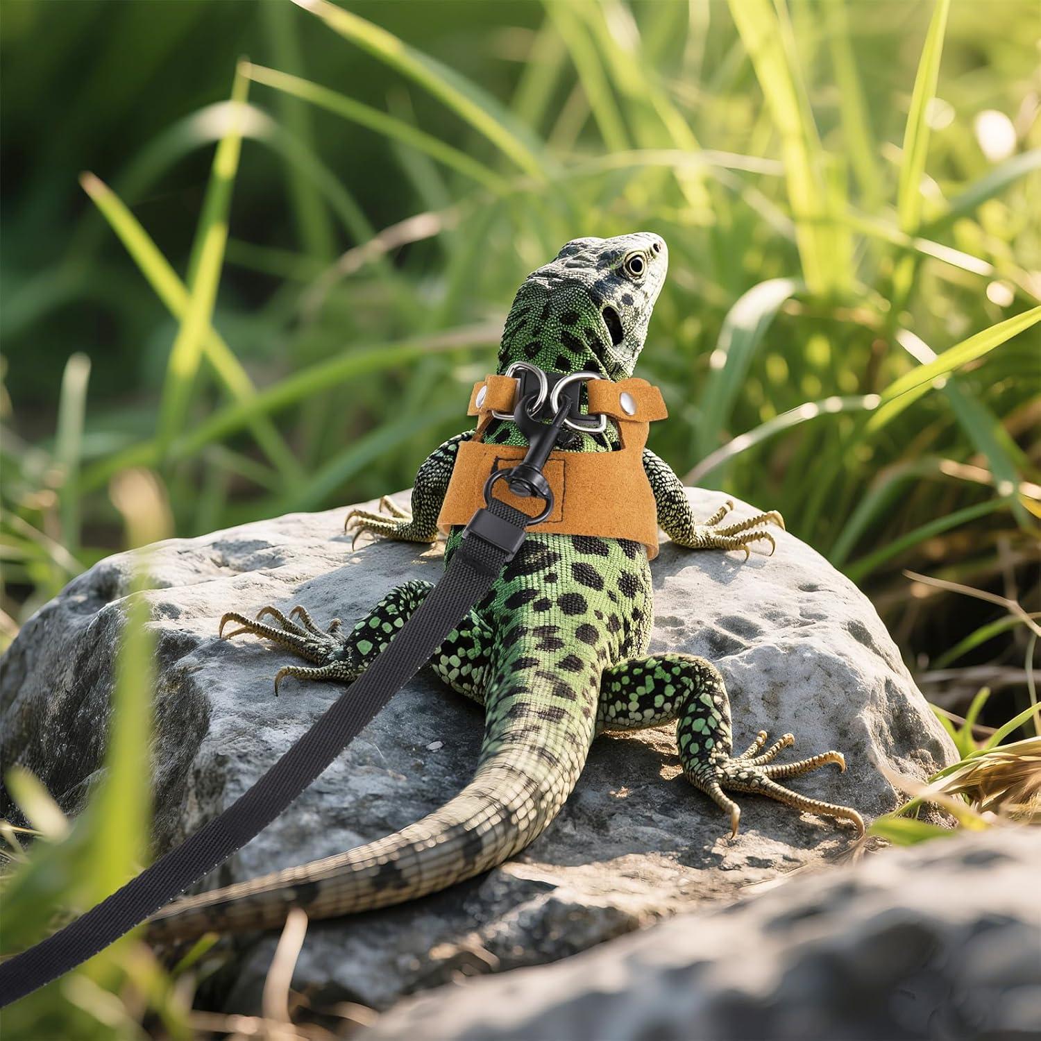 Conjunto de Arnés y Correa para Dragón Barbudo Bewudy - 3 Tamaños