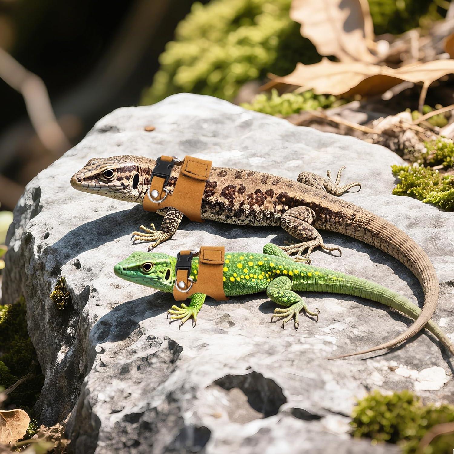 Conjunto de Arnés y Correa para Dragón Barbudo Bewudy - 3 Tamaños