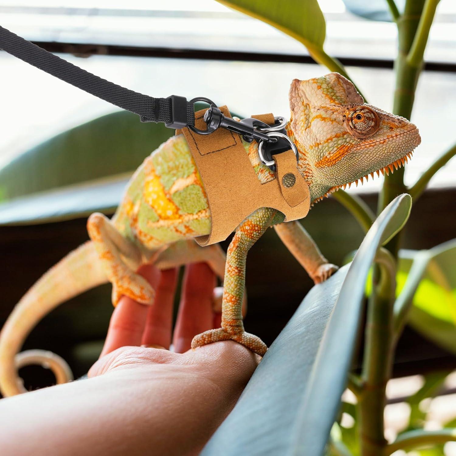 Conjunto de Arnés y Correa para Dragón Barbudo Bewudy - 3 Tamaños