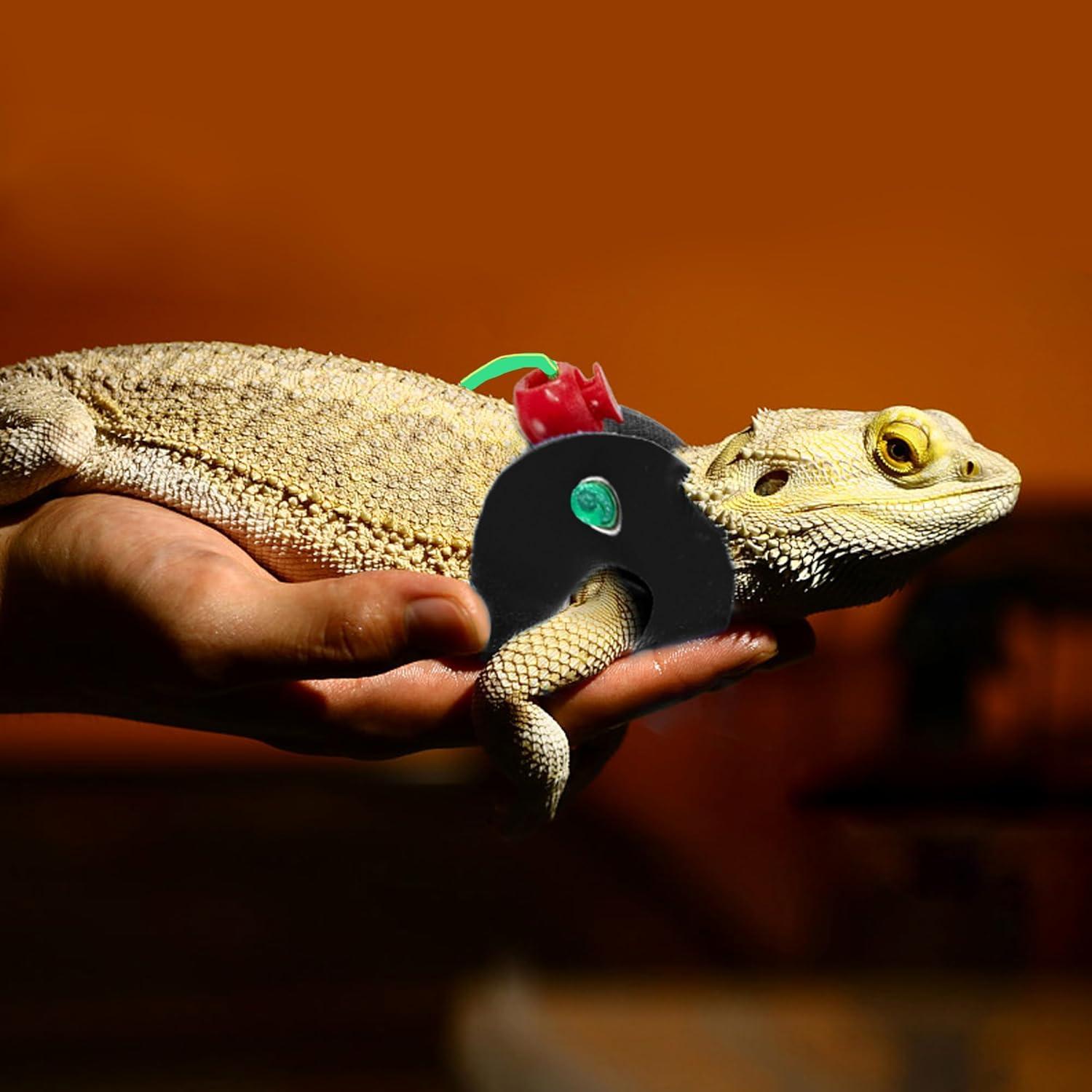 Arnés y Correa de Cuero Suave AIITLE - 3 Tamaños para Reptiles