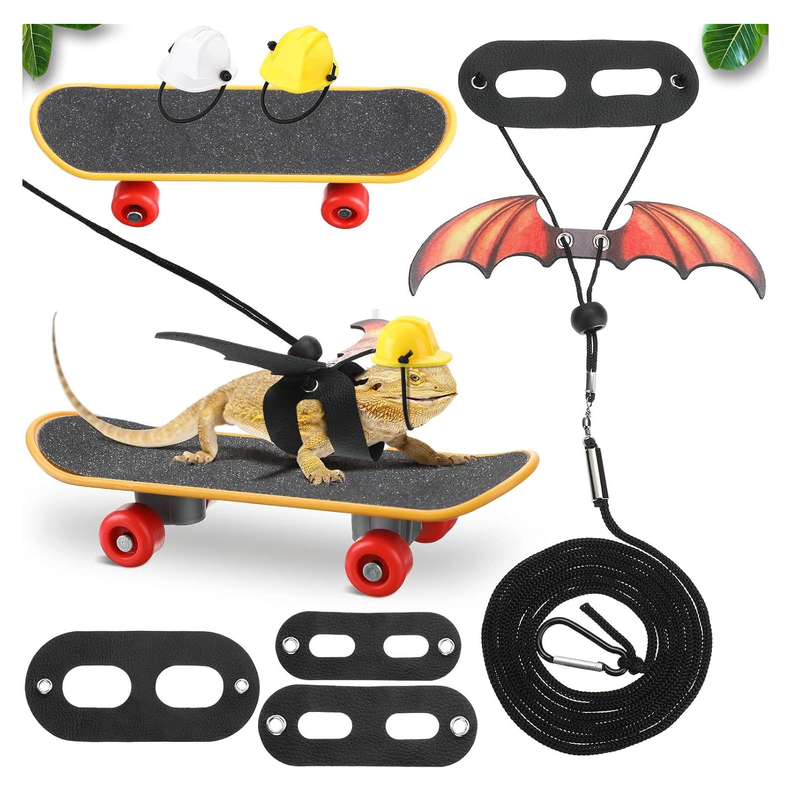 Conjunto de Juguetes para Dragón Barbudo Chivao 5 Piezas Naranja