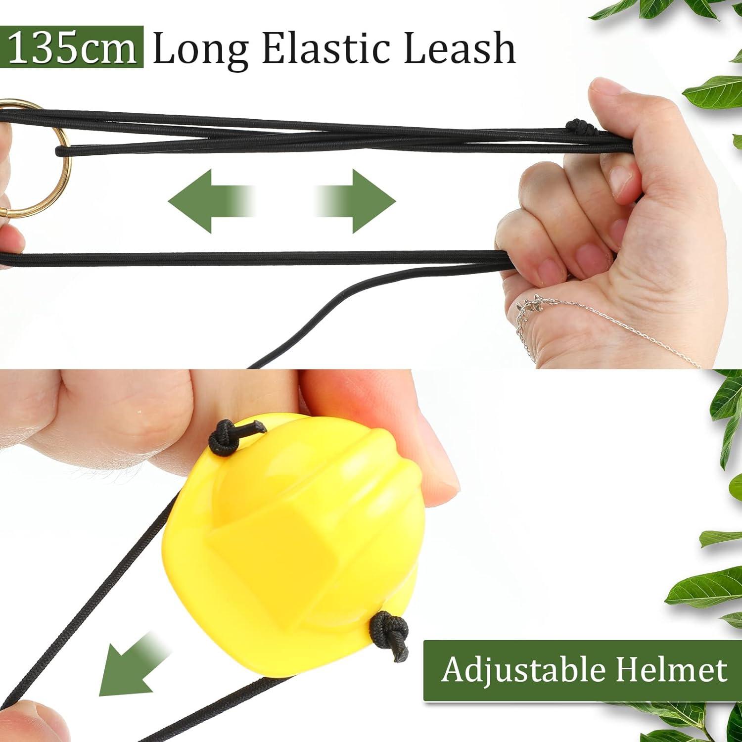 Conjunto de Juguetes para Dragón Barbudo Chivao 5 Piezas Naranja