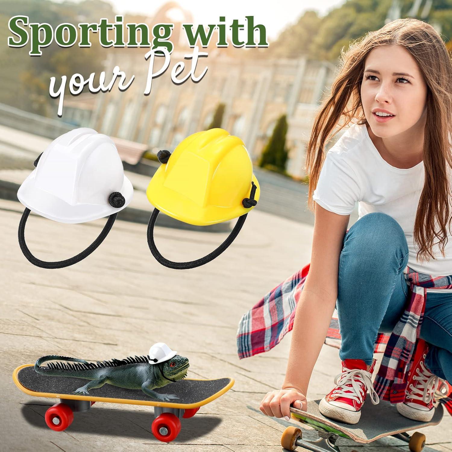 Conjunto de Juguetes para Dragón Barbudo Chivao 5 Piezas Naranja