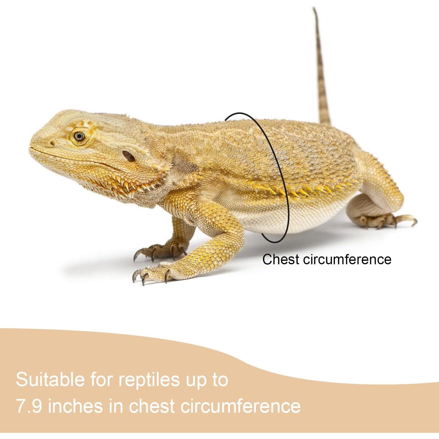 Paquete de 2 Arnés y Correa Ajustable para Reptiles Wontee Negro