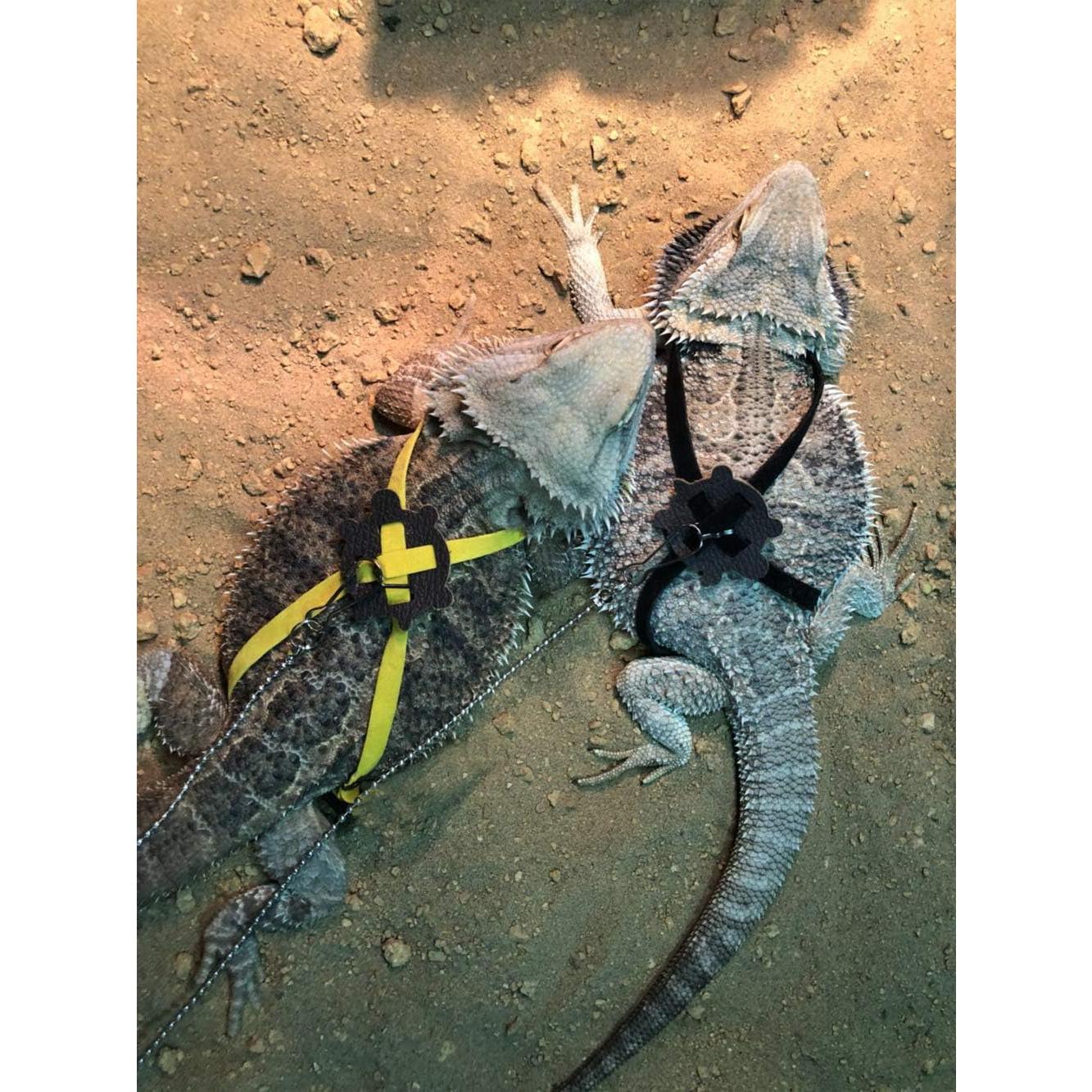 Paquete de 2 Arnés y Correa Ajustable para Reptiles Wontee Negro