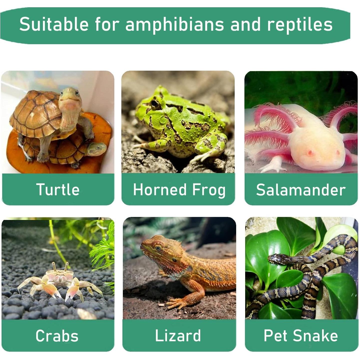 Plataforma de Solarium para Tortugas Tfwadmx 21.8x13cm