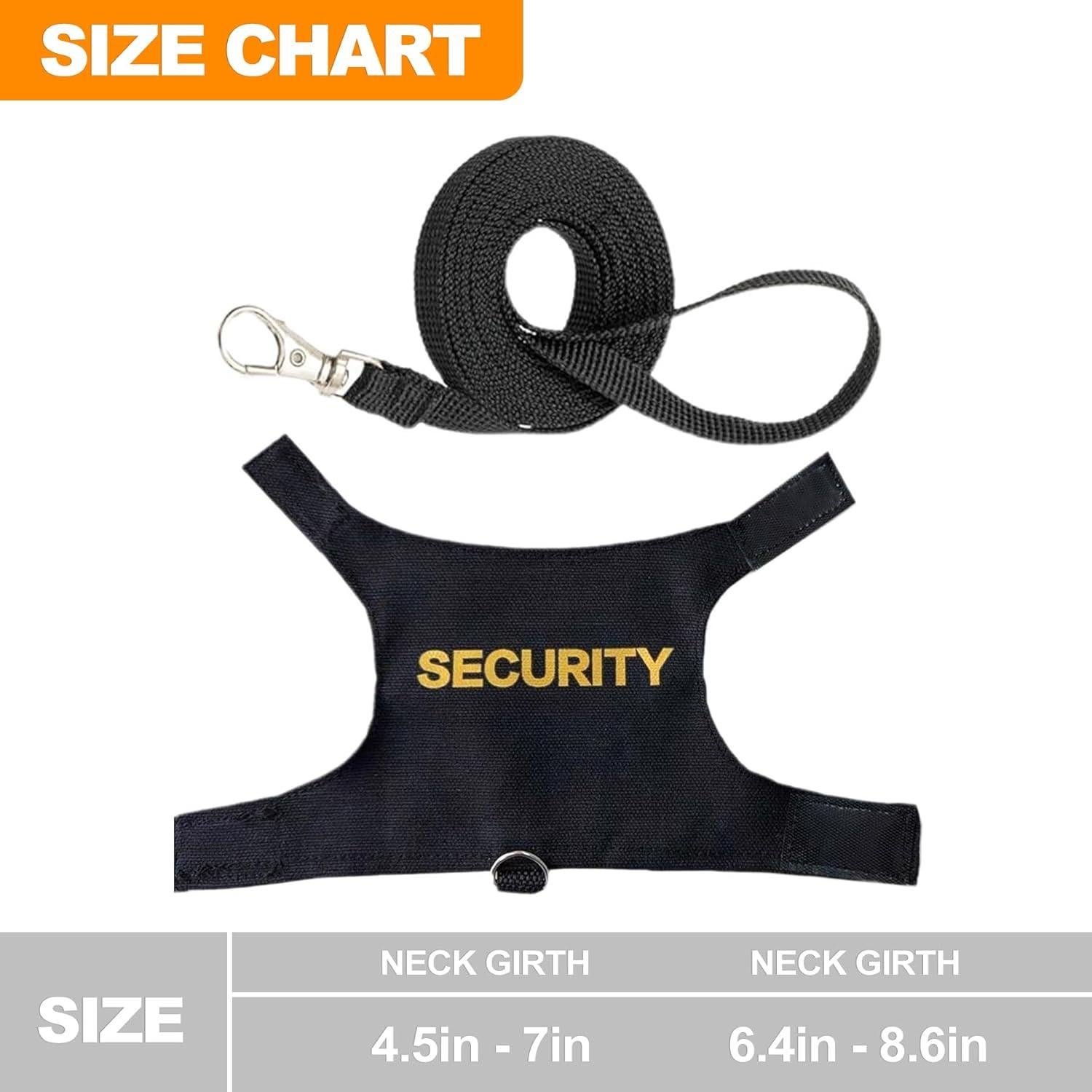 Conjunto de Arnés y Correa Ajustable CoguZed para Dragón Barbudo